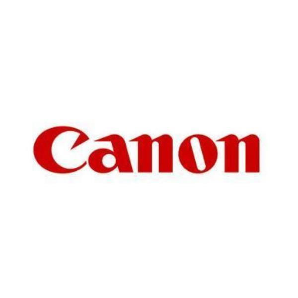 Canon Pfi 1700 Gris